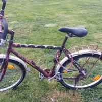 Bicicletta mountain bike uomo