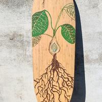 longboard deck loaded fattail flex 2