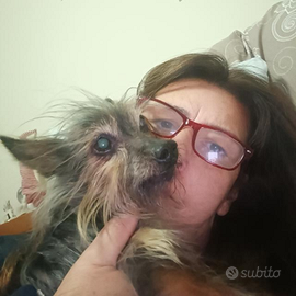 Dama di compagnia e aiuto cuoca