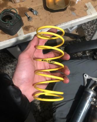 Molla gialla Malossi Piaggio