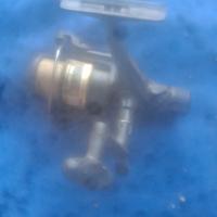 team daiwa mulinello