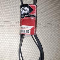 Cinghia servizi micro -v + Dentata Gates 5473XS