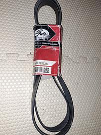 Cinghia servizi micro -v + Dentata Gates 5473XS