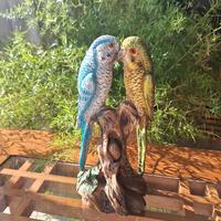 Statuetta pappagalli