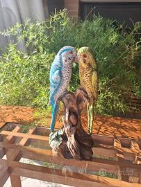 Statuetta pappagalli