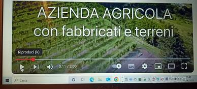 Tenuta agricola con terreni e fabbricati