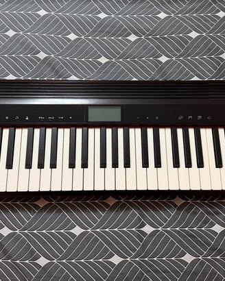Roland Go-61P