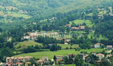 Terreno edificabile ad Albareto