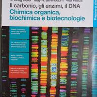 Il carbonio, gli enzimi, il DNA