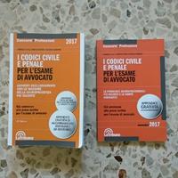 I codici civile e penale - Ed. 2017 - La Tribuna