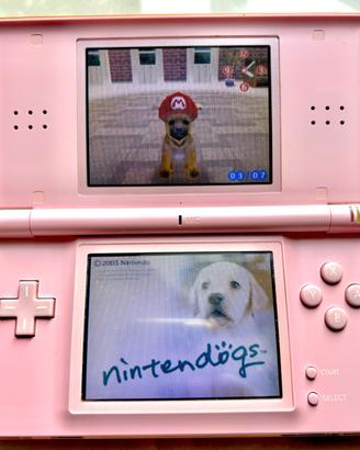 Nintendo ds lite rosa + nintendogs + caricatore