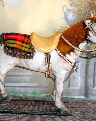 Cavallo Pony grandezza naturale Buone Condizioni