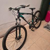 bici mtb Loris 