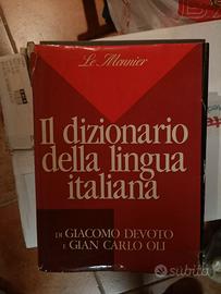 Dizionario italiano 
