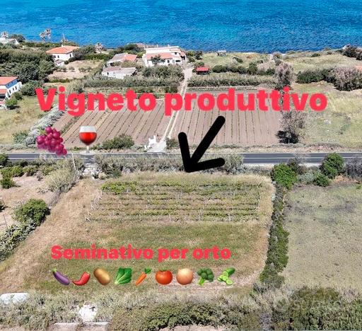 Marritza terreno pianeggiante 300 mt dal mare