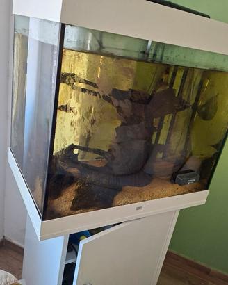 acquario juwel 200 lt con mobiletto