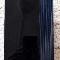 Cassa altoparlante Samsung PS-CWO