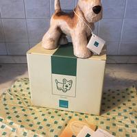 THUN cane Fox Terrier