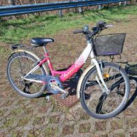 Bicicletta rosa