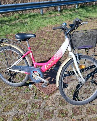 Bicicletta rosa