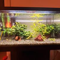 Acquario Ciano Aqua LED 60L + mobile e filtro