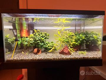 Acquario Ciano Aqua LED 60L + mobile e filtro