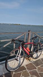 Bicicletta da corsa wilier izoard - taglia s