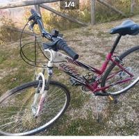 City Bike   donna ragazza