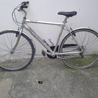 bicicletta galant adulto 