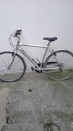 bicicletta galant adulto 