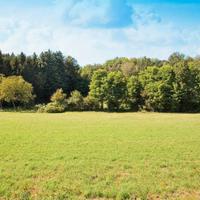 Viterbo Terreno 2 Ettari