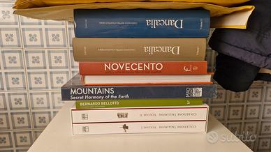 libri arte di grande pregio silvana, marsilio ecc