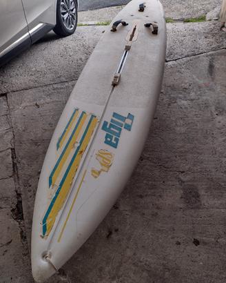 tavola da Wind surf 