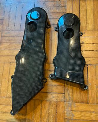 Carbonio hypermotard 1100s