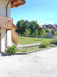 Canove annuale o stagionale