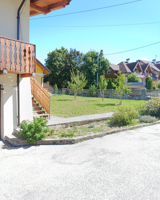 Canove annuale o stagionale