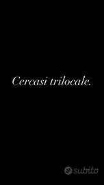 Richiesta: trilocale 1300