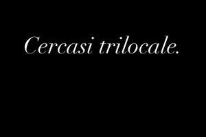 Richiesta: trilocale 1300