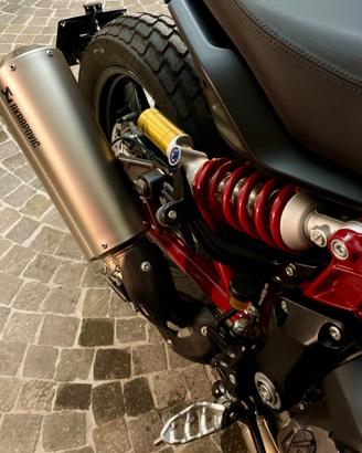 Molla Sospensione Posteriore Indian FTR 1200