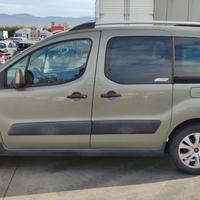 Sportello Posteriore Sinistro Citroen Berlingo 201