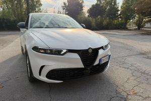 ALFA ROMEO Tonale 1.6 diesel 130 CV TCT6 Sprint