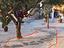Immagine 3