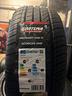 gomme-205-50-17-fortuna-estivi