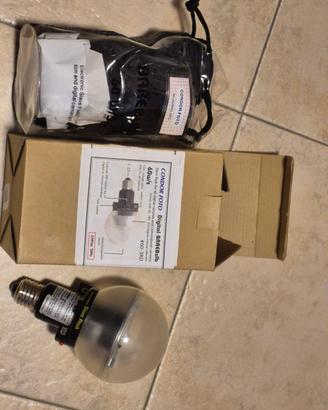 lampadina flash a bulbo