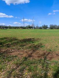 Rif. 224b terreno a villa oliveti