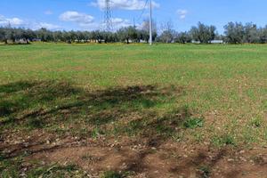 Rif. 224b terreno a villa oliveti