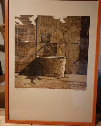 Stampa da collezione
