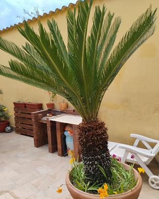 arredo giardino