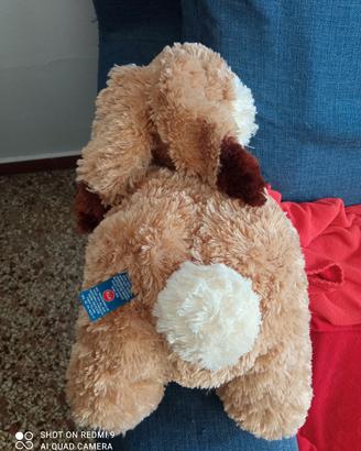 peluche 