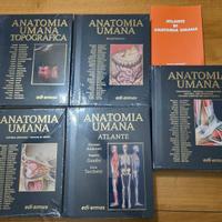 trattato di Anatomia Umana 2021+atlante 